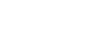Link Shuttle